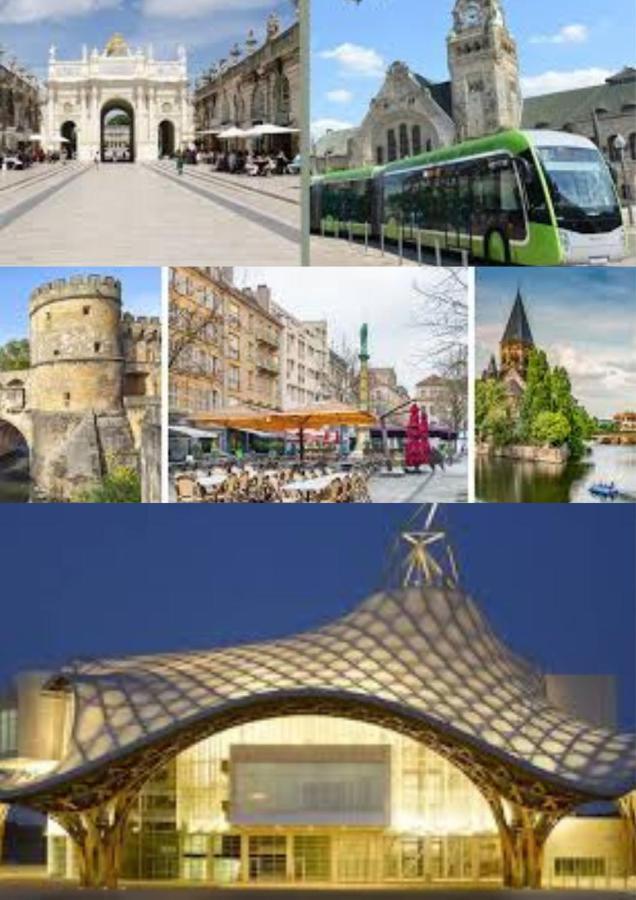 Le Muse Quartier Ville Proche Transport Parking Prive Un-Sejour-A-Part Metz Luaran gambar
